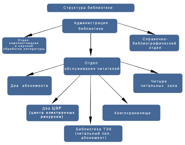Организационная структура библиотеки. Иерархия библиотеки. Структурная модель библиотеки. Структурная схема библиотеки.